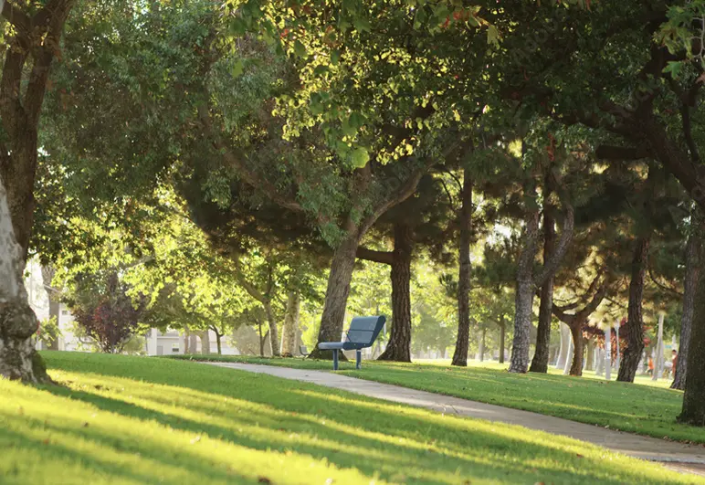 Inwestycja Piniova oferuje mieszkańcom łatwy dostęp do wszelkich udogodnień oraz bliskości natury.